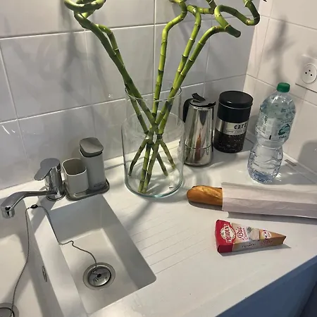 Seemingly Spacious Modern & Bright Chic Appartement Paris